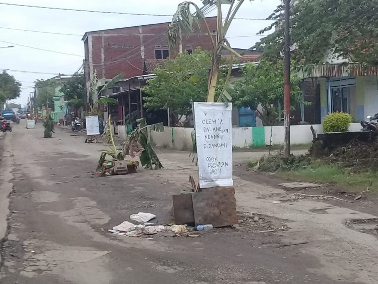 Warga Desa Damarsih melakukan aksi protes dengan cara menanam pohon pisang di sepanjang jalan desa yang rusak dan berlubang/Foto: Dimas