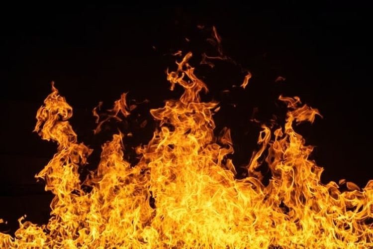 Ilustrasi api kebakaran / foto: google