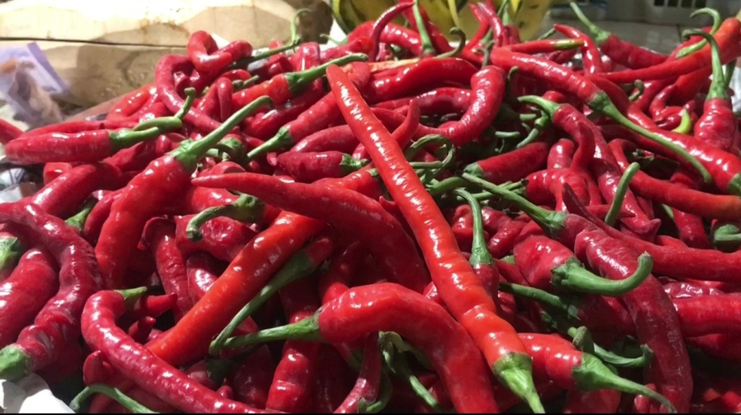 Harga Cabai Merah Tembus Rp 90 Ribu, Pedagang Bumbu Jadi Kelimpungan