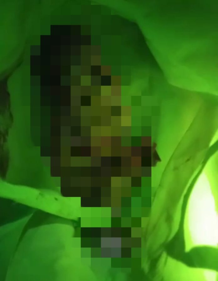 Tangkapan layar saat bayi pertama kali ditemukan di dalam tas berwarna hijau / Foto : istimewa.