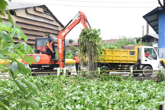 Pemkab Sidoarjo bersama BPBD Jatim mulai angkat enceng gondok di sungai buntung Kecamatan Taman/Foto: Istimewa
