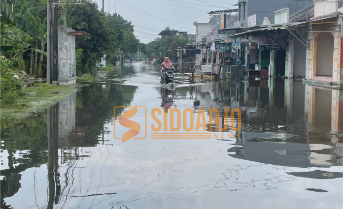 Kawasan Perum Mutiara Citra Asri di Desa Sumorame Kecamatan Candi masih terendam banjir/Foto: Ipung Syaiful