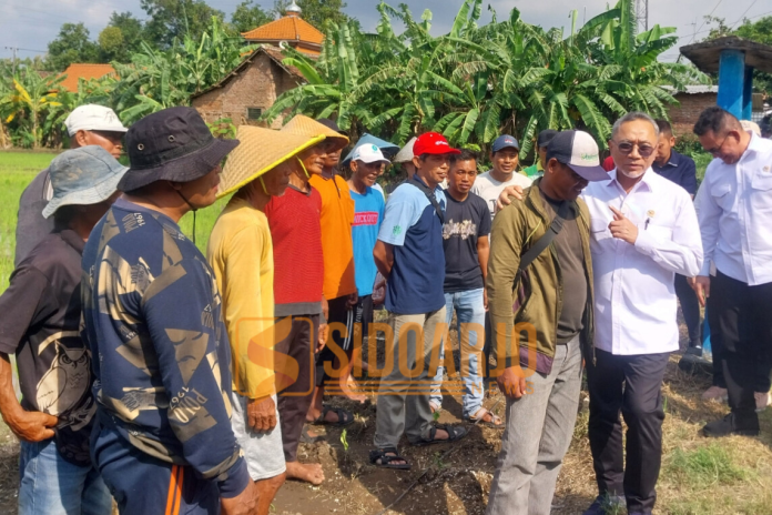 Menteri Kordinator Bidang Pangan, Zulkifli Hasan saat berbincang dengan puluhan petani di Kabupaten Sidoarjo/Foto: Ipung Syaiful