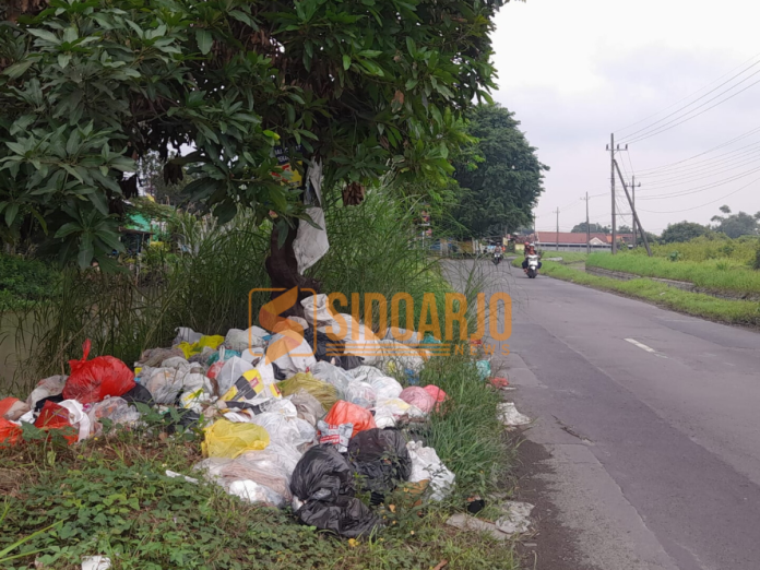 Tumpukan sampah di pinggir jalan Anggaswangi, Sukodono dikeluhkan warga/Foto: Ipung Syaiful