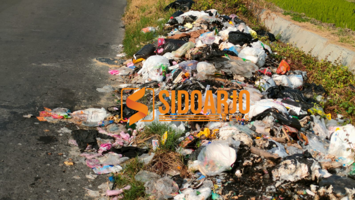 Tumpukan sampah yang memenuhi bahu jalan di Desa Wonoayu, Sidoarjo/Foto: Ipung Syaiful