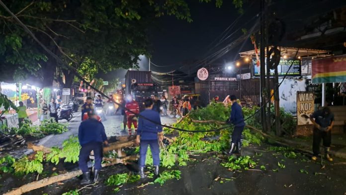 Petugas saat melakukan pemotongan pohon tumbang/Foto: istimewa