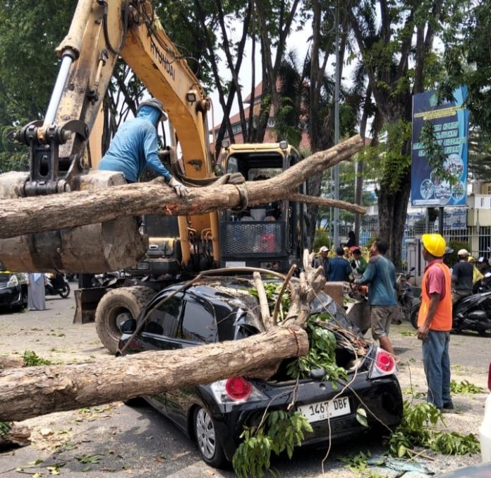 Apes! 1 Mobil dan 4 Motor Tertimpa Potongan Pohon Saat Penebangan di Proyek Revitalisasi Alun-alun Sidoarjo / Foto: istimewa