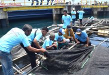 Kontribusi Hulu Migas dan Transformasi PPM sebagai Pendorong Pembangunan Berkelanjutan