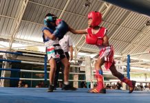 Fun Fight Boxing: Ajang Perdana yang Ubah Peta Tinju Amatir Sidoarjo