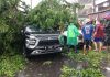 Tiga Mobil Ringsek Tertimpa Pohon Tumbang di Jalan Raya Buduran Mobil tertimpa pohon saat hujan deras di Buduran/Foto: istimewa