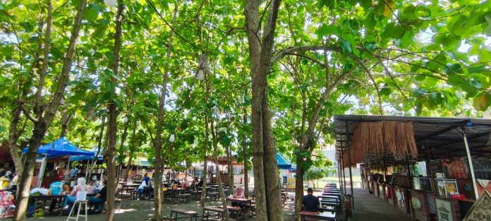 Warung Alas Kuto buka jam 06.00 WIB, hadir sebagai ruang makan terbuka di bawah rindangnya pohon jati, tempat ini menjadi salah satu destinasi yang paling mudah diingat karena suasananya yang adem, luas, dan ramah untuk pengunjung segala usia / Foto: istimewa