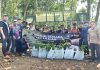 Gerakan 5.000 Pohon Gunung Penanggungan Resmi Ditutup, Sekawan Bumi Siapkan Program Besar Berikutnya